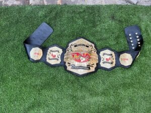 TNA World Heavyweight Title Belt Gold Zinc Full View