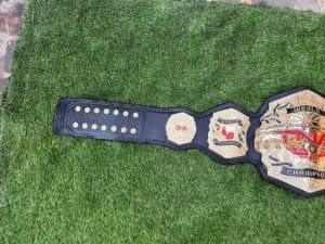 TNA World Heavyweight Title Belt Custom Side Plates Gold Zinc View