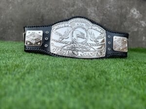 NWA United States Heavyweight Belt US Shield Side Plates Silver View