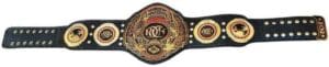 ROH championship replica for sale full view 2mm brass gold plated leather strap
