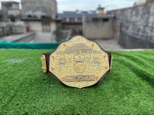 Ric Flair WCW Championship Belt Replica Full View 24K Gold