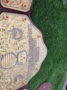 Ric Flair WCW Championship Belt 6mm CNC HD 3D Plate Detail