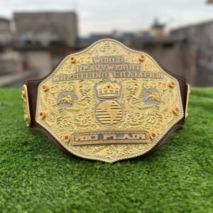 Ric Flair WCW Championship Belt Replica Full View 24K Gold