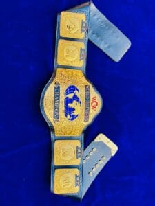 WCW World Television Championship Replica Belt Full View