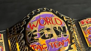 ECW World Tag Team Championship replica belt for sale full view 4mm zinc