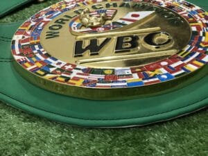WBC replica belt center plate close up gold enamel world flags World Boxing Council emblem