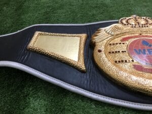 WBF World Boxing Federation Championship Replica dual gold side plates embossed etching detail