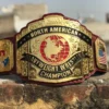 NWA North American Championship Belt Gold Plated Full View