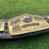 NWA Ten Pounds of Gold Belt Zinc Gold Full View