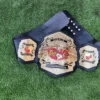 TNA World Heavyweight Title Belt Gold Zinc Full View