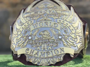 TNA World Heavyweight Wrestling belt center plate 3D engraving view