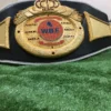 WBF World Boxing Federation Championship Replica full view gold plated black faux leather strap