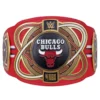 WWE Chicago Bulls belt replica close view of 4mm zinc dual plated championship plates