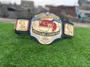 ECW world heavyweight championship belt side plates zinc gold plated wrestler detail