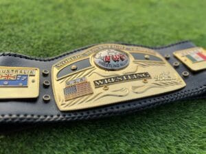 NWA Ten Pounds of Gold Belt National Flag Side Plates View