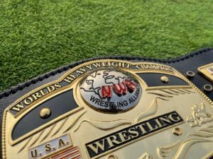 NWA Ten Pounds of Gold Belt Main Plate Gold Close View