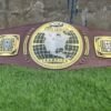 New NXT Championship Belt
