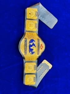 WCW World Television Championship Replica Belt Full View