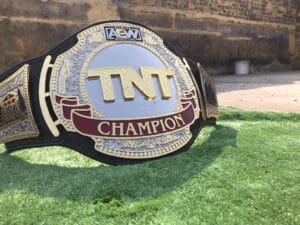 AEW TNT Replica Belt side plate – AEW TNT logo gold silver engraved zinc plate