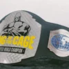 KING OF THE CAGE KOTC MMA Wrestling Championship Belt Replica