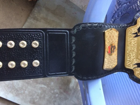 MMA Featherweight Championship Replica Title Belt