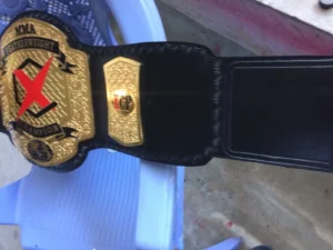 MMA Featherweight Championship Replica Title Belt