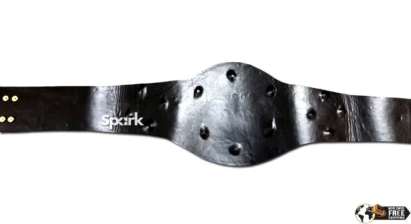 One World Championship Title Belt Replica