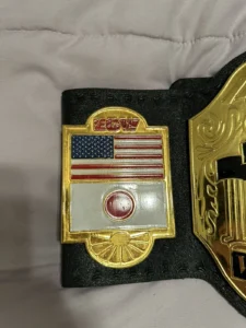 ECW world heavyweight replica belt custom side plates gold plated zinc detail