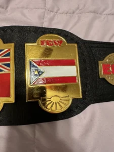 ECW world heavyweight replica belt custom side plates gold plated zinc detail
