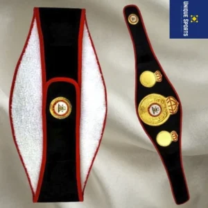 WBA replica belt dual custom side plates 4mm gold plated World Boxing Association detail