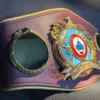 WBO Championship Belt side plates with 3D metal design and chrome finish showing boxing championship details