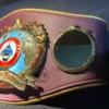 WBO Championship Belt side plates with 3D metal design and chrome finish showing boxing championship details