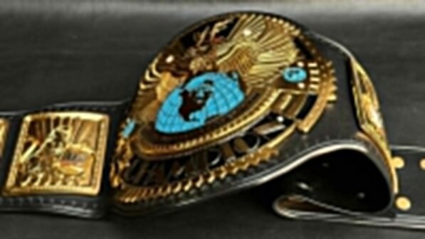 WWF Big Eagle Belt side plates with world heavyweight championship design