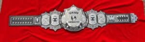 Undertaker Tribute Championship Belt full view – premium WWE replica with zinc plates