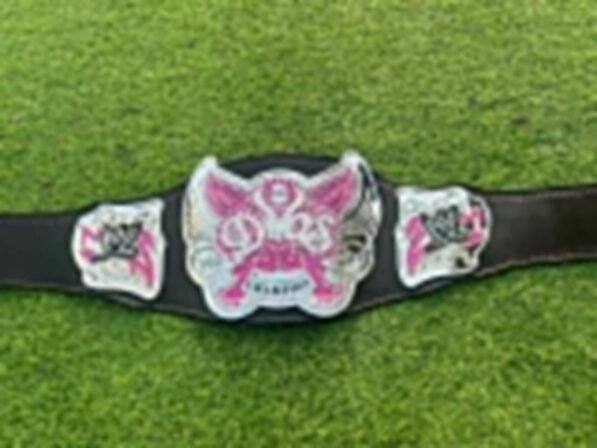 Complete WWE Divas Women Championship Replica Belt showing center plate, side plates and genuine cowhide leather strap