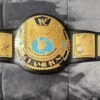 Front view of Big Eagle WWF Belt showing iconic eagle design and gold finish