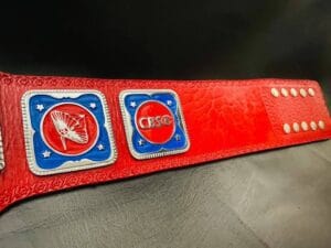 NWA World Television Championship Belt Leather Soft Lining Strap View