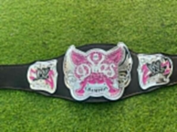 Complete WWE Divas Women Championship Replica Belt showing center plate, side plates and genuine cowhide leather strap
