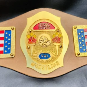 NWA TV Georgia Heavyweight Championship Belt Gold Full View