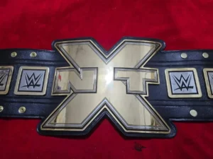 WWE NXT champion belt replica close view of gold plated brass main plate with etching