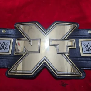 WWE NXT champion belt replica close view of gold plated brass main plate with etching