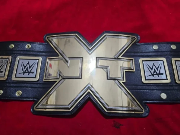 WWE NXT champion belt replica close view of gold plated brass main plate with etching