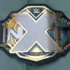 WWE NXT championship belt replica close view of gold plated zinc metal main plate