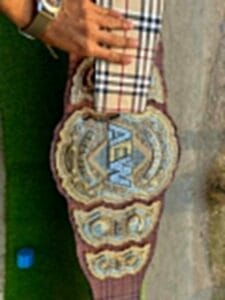 AEW MJF World Championship Belt side plate – 4-layer raised gold CZ stone zinc detail