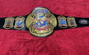 ECW world heavyweight championship replica belt close plate brass etching detail