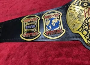 ECW world heavyweight championship replica belt custom side plates brass detail
