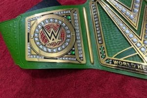 Custom side plates of WWE World Heavyweight Championship replica belt with WWE Superstar-themed brass gold-tone dual plate design by Absolute Belts