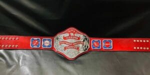 NWA World Television Championship Belt Zinc Gold Full View