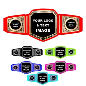 Custom made championship Belts collection
