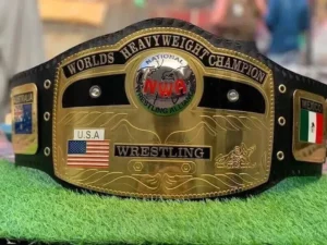 NWA Domed Globe World Heavyweight Championship Replica Belt 2mm Brass Gold Finish